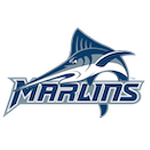 Virginia Wesleyan University logo